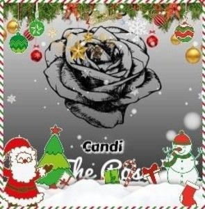 Meet your Posher, Candi